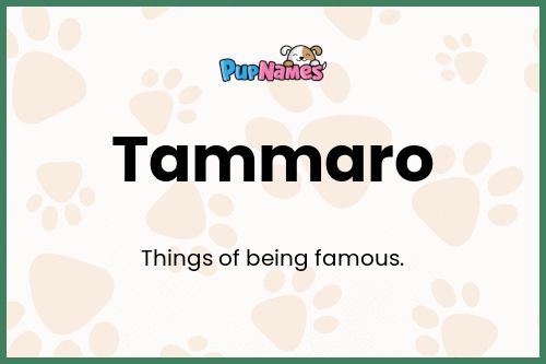 Tammaro dog name meaning