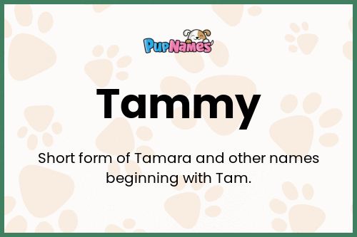 Tammy dog name meaning