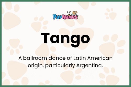 Tango dog name meaning