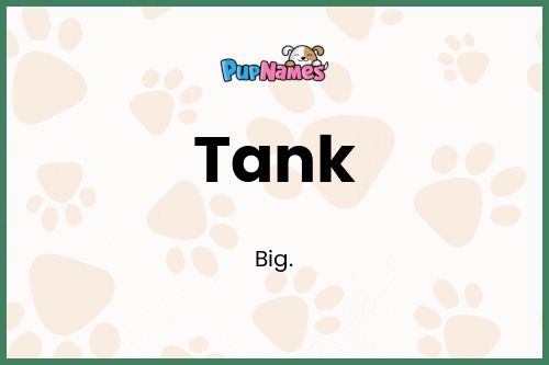 Tank dog name meaning