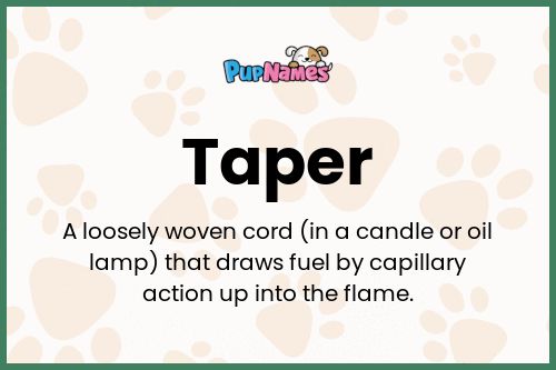 Taper dog name meaning