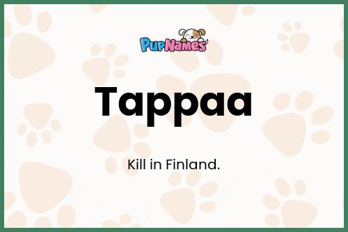 Tappaa dog name meaning