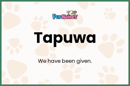 Tapuwa dog name meaning