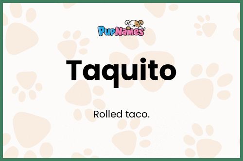 Taquito dog name meaning