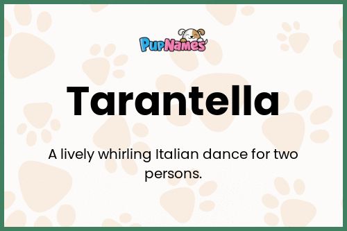 Tarantella dog name meaning