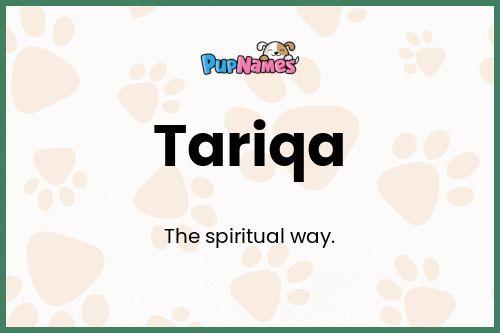 Tariqa dog name meaning