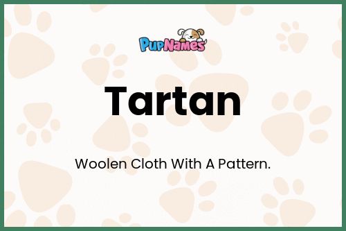 Tartan dog name meaning