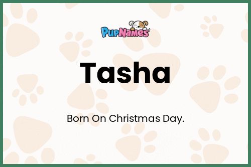 Tasha dog name meaning