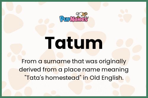 Tatum dog name meaning