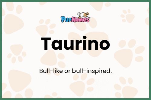 Taurino dog name meaning