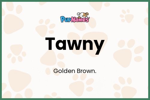 Tawny dog name meaning