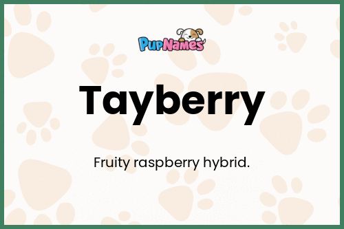 Tayberry dog name meaning