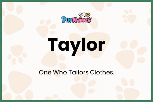 Taylor dog name meaning