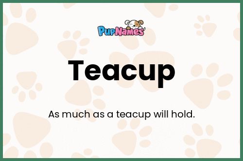 Teacup dog name meaning