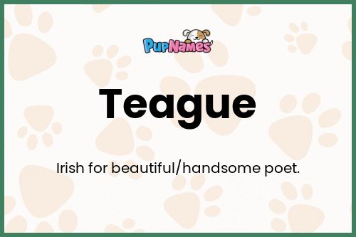 Teague dog name meaning