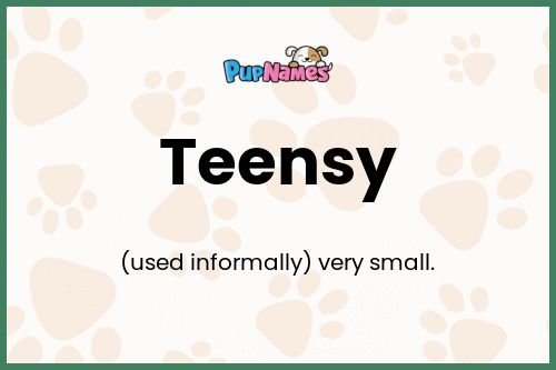 Teensy dog name meaning