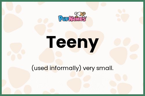 Teeny dog name meaning