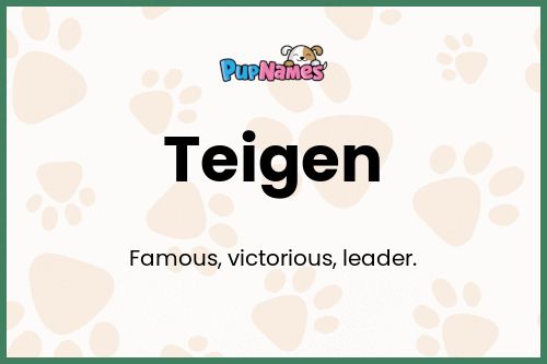 Teigen dog name meaning