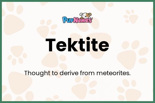 Tektite dog name meaning