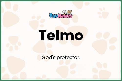 Telmo dog name meaning