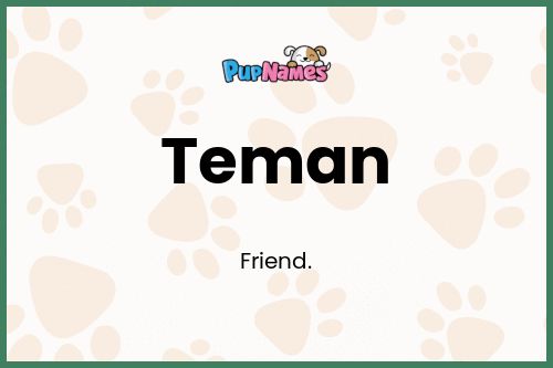 Teman dog name meaning
