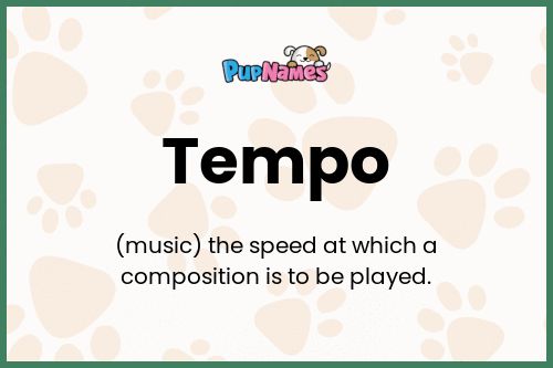 Tempo dog name meaning