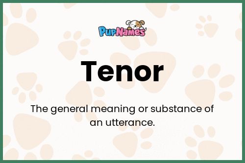 Tenor dog name meaning