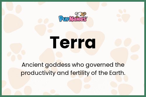 Terra dog name meaning