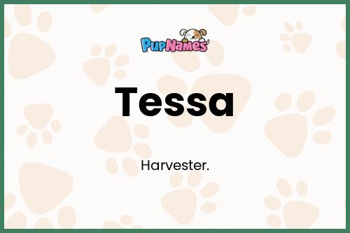 Tessa dog name meaning