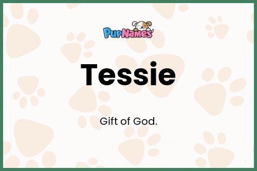 Tessie dog name meaning