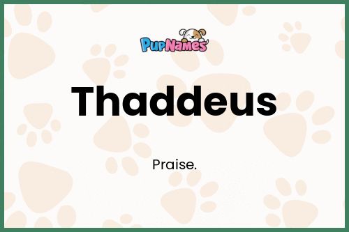 Thaddeus dog name meaning