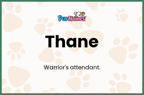 Thane dog name meaning