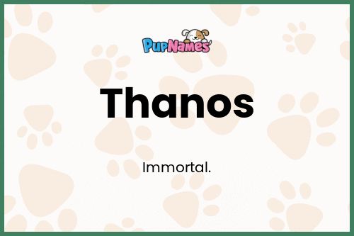 Thanos dog name meaning