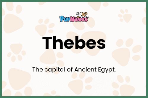 Thebes dog name meaning