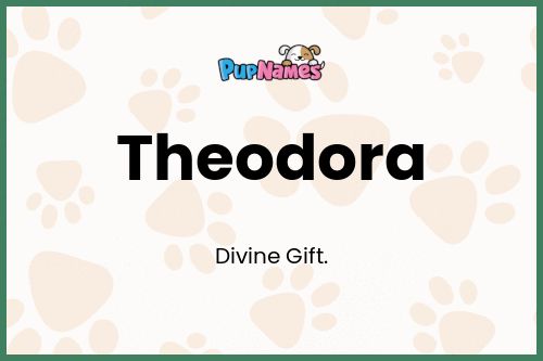 Theodora dog name meaning