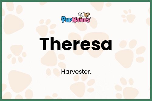 Theresa dog name meaning