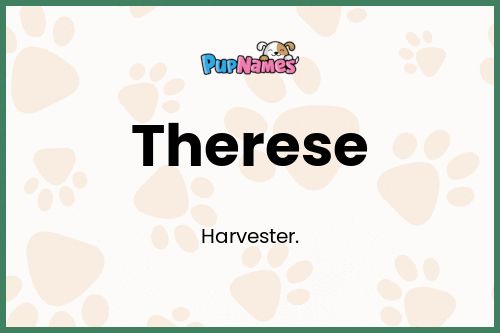 Therese dog name meaning