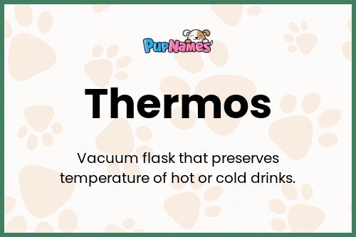 Thermos dog name meaning