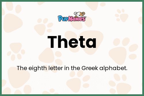 Theta dog name meaning