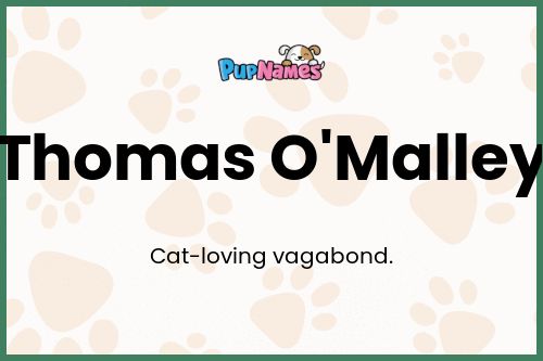 Thomas O'Malley dog name meaning