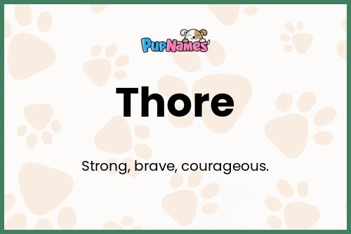 Thore dog name meaning