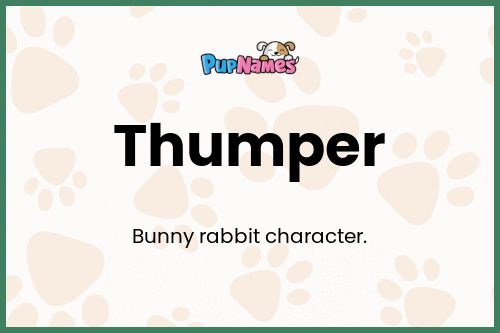 Thumper dog name meaning