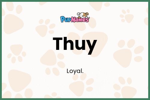 Thuy dog name meaning