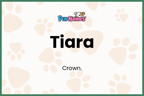 Tiara dog name meaning