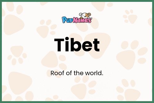 Tibet dog name meaning