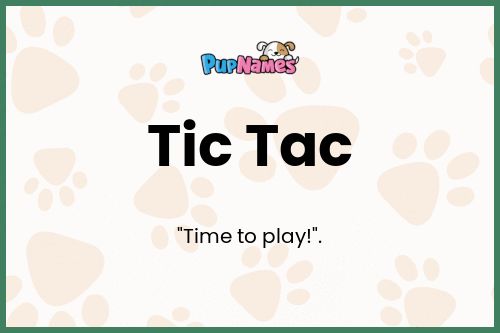 Tic Tac dog name meaning