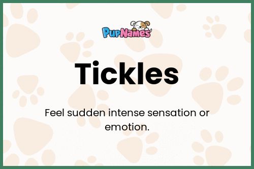 Tickles dog name meaning