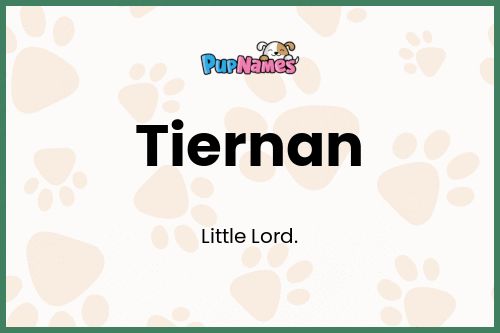 Tiernan dog name meaning