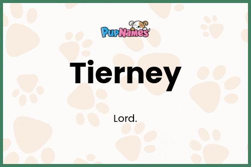 Tierney dog name meaning