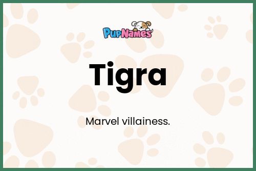 Tigra dog name meaning